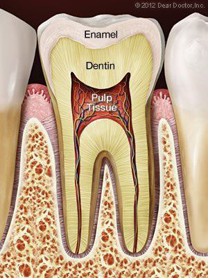 Root Canal Treatment Lee s Summit